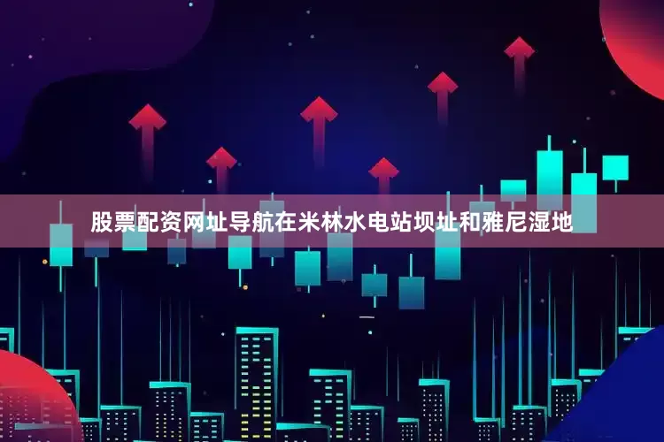 股票配资网址导航在米林水电站坝址和雅尼湿地