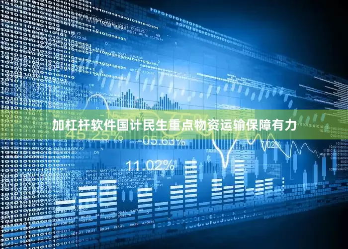 加杠杆软件国计民生重点物资运输保障有力