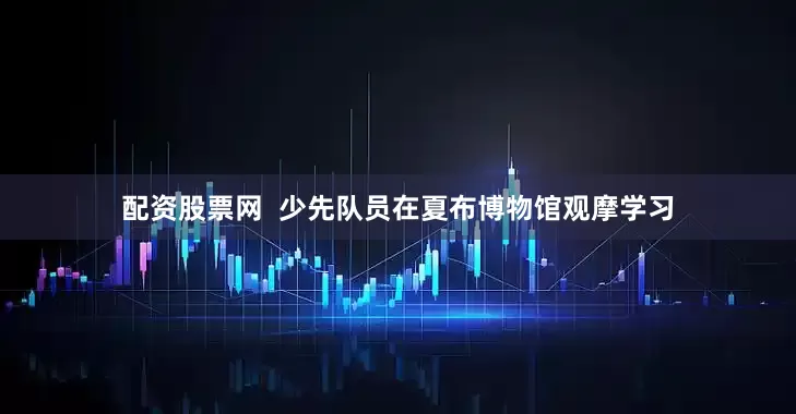 配资股票网  少先队员在夏布博物馆观摩学习