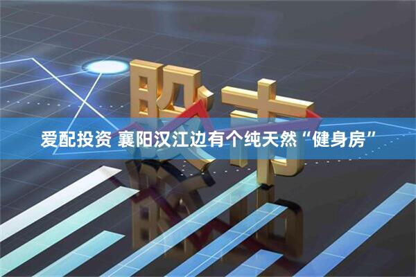 爱配投资 襄阳汉江边有个纯天然“健身房”